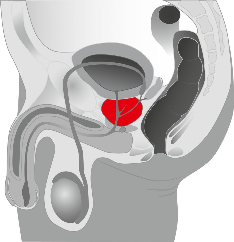 You2Toys - Prostata-Rotator mit Kugelkopf