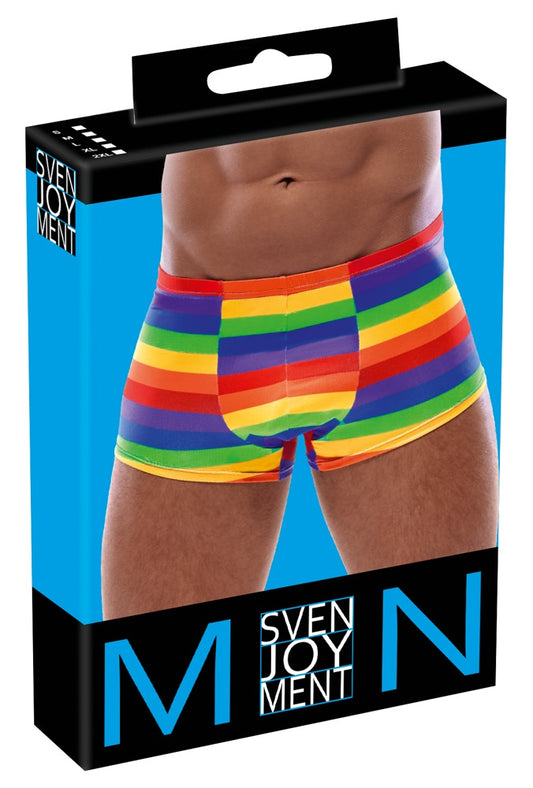 Svenjoyment - Herren Pants Rainbow