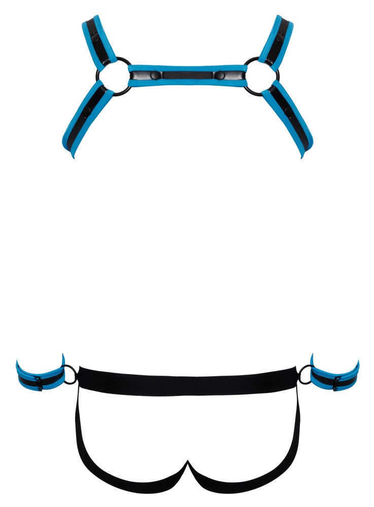 Svenjoyment - Herren Jockset