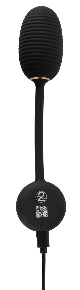 Intense - RC Vibrating Egg