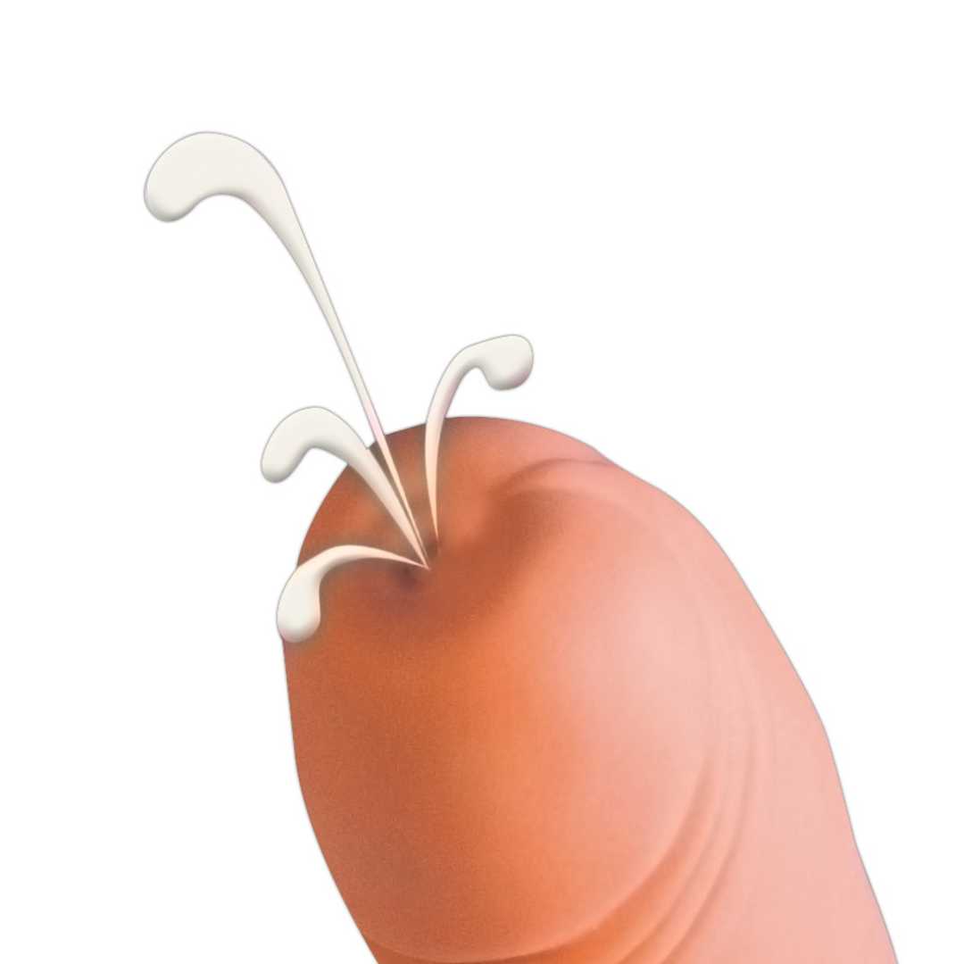 Naturdildo „Cum Shot“ mit Spritzfunktion