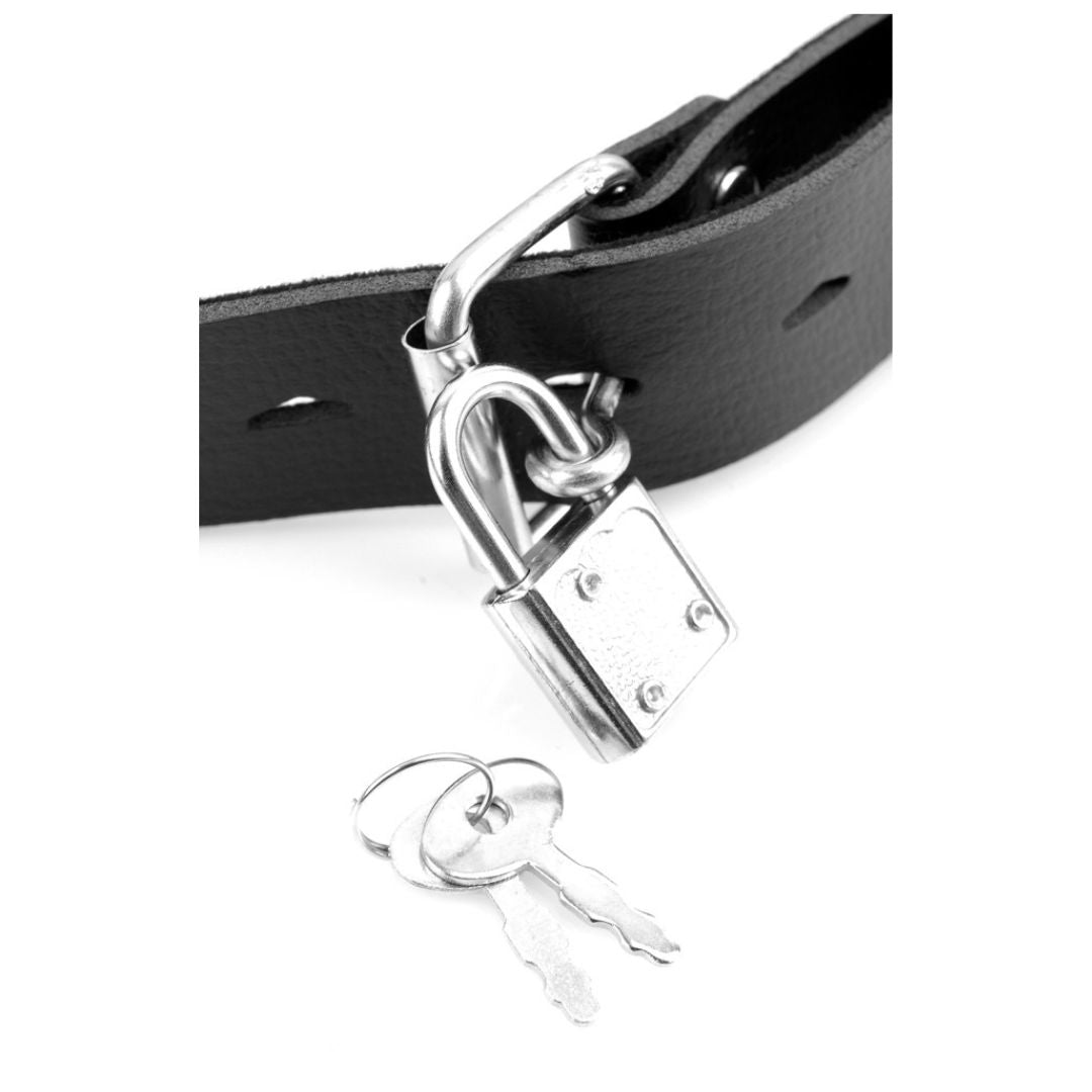 Deluxe Ballknebel mit Dildo und Schloss - OH MY! FANTASY