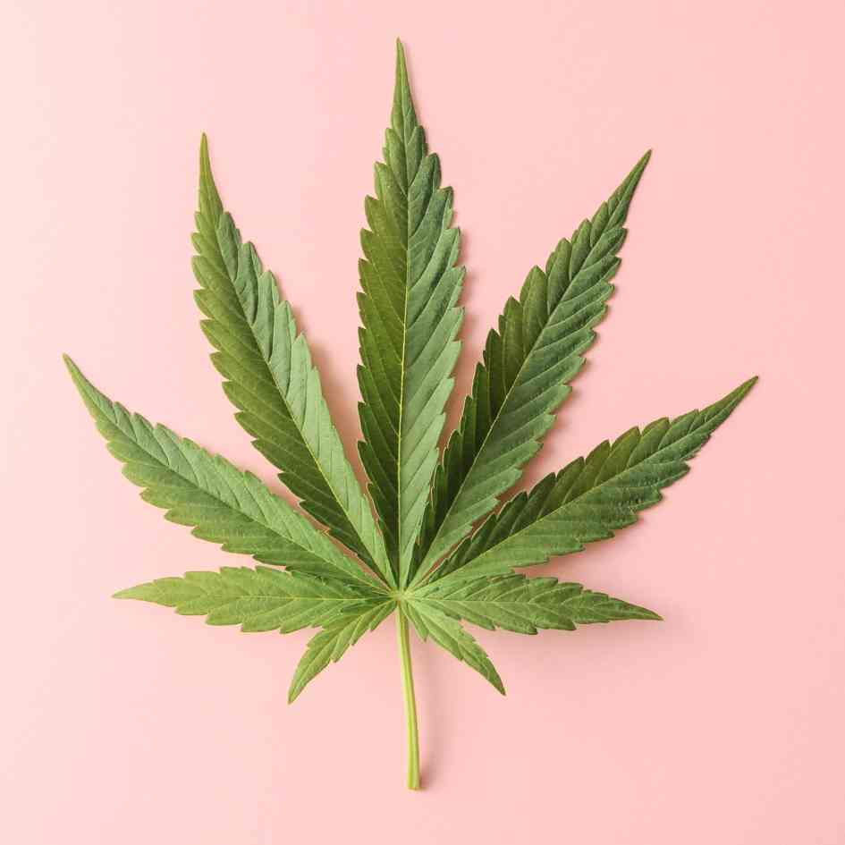 High und Heiß: Cannabis Sextoys