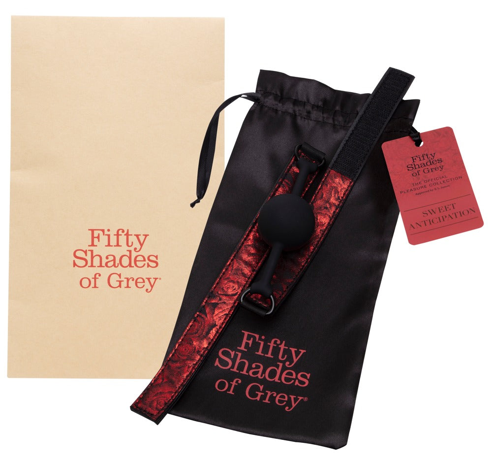 Fifty Shades of Grey - Sweet Anticipation Ball - Mundknebel