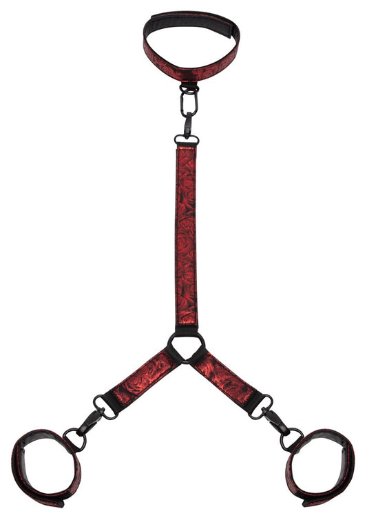 Fifty Shades of Grey - Sweet Anticipation Collar - Halsfessel