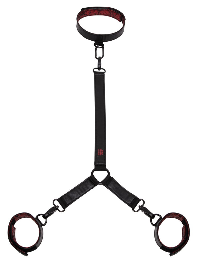 Fifty Shades of Grey - Sweet Anticipation Collar - Halsfessel