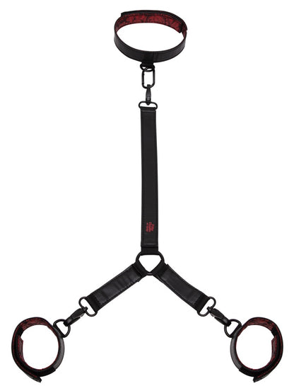 Fifty Shades of Grey - Sweet Anticipation Collar - Halsfessel