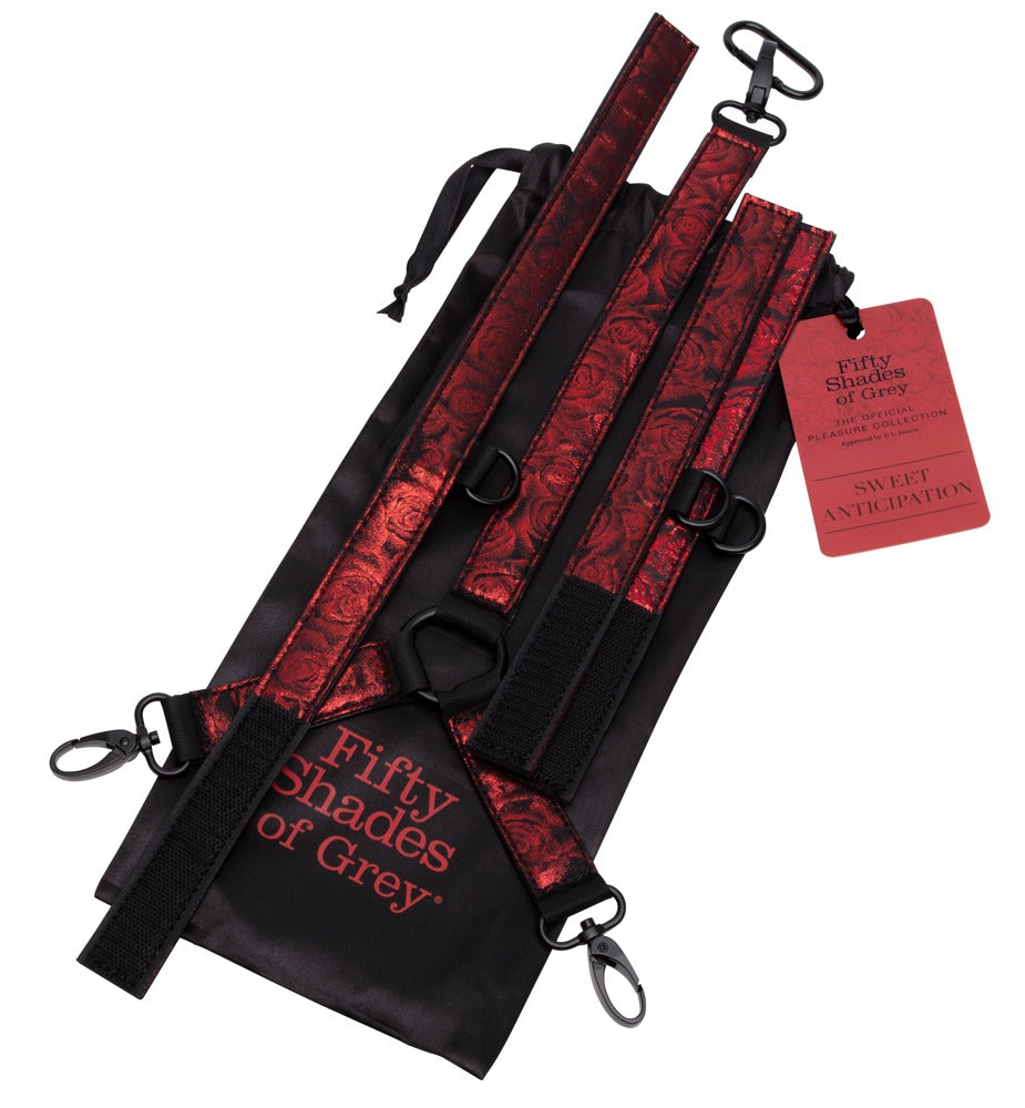 Fifty Shades of Grey - Sweet Anticipation Collar - Halsfessel