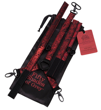 Fifty Shades of Grey - Sweet Anticipation Collar - Halsfessel