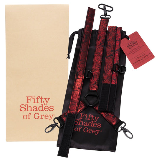 Fifty Shades of Grey - Sweet Anticipation Collar - Halsfessel