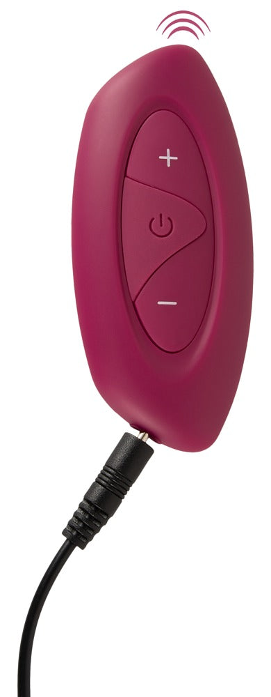 Sweet Smile - RC Shaking & Vibrating Love Egg Duo