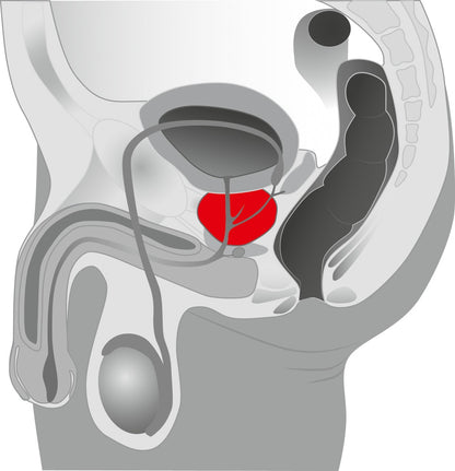You2Toys - Prostata-Rotator mit Kugelkopf
