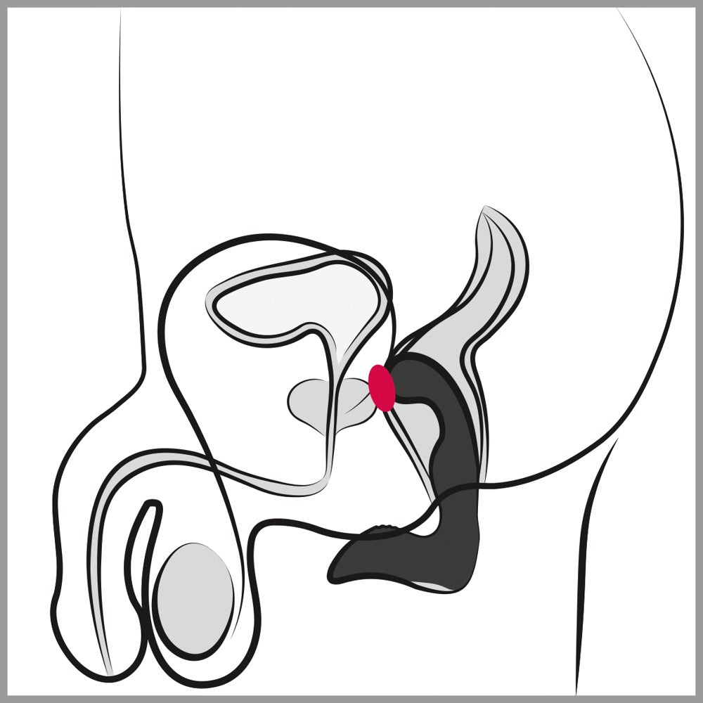 Rebel - Rebel Prostate Plug recharge