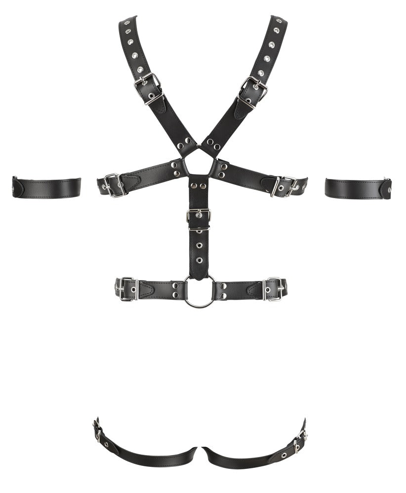 ZADO - Leder Harness