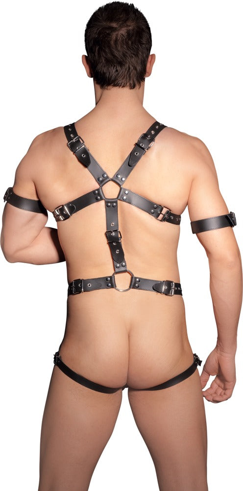 ZADO - Leder Harness