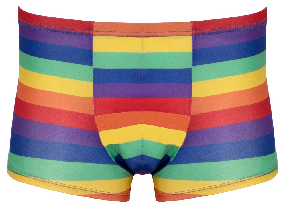Svenjoyment - Herren Pants Rainbow