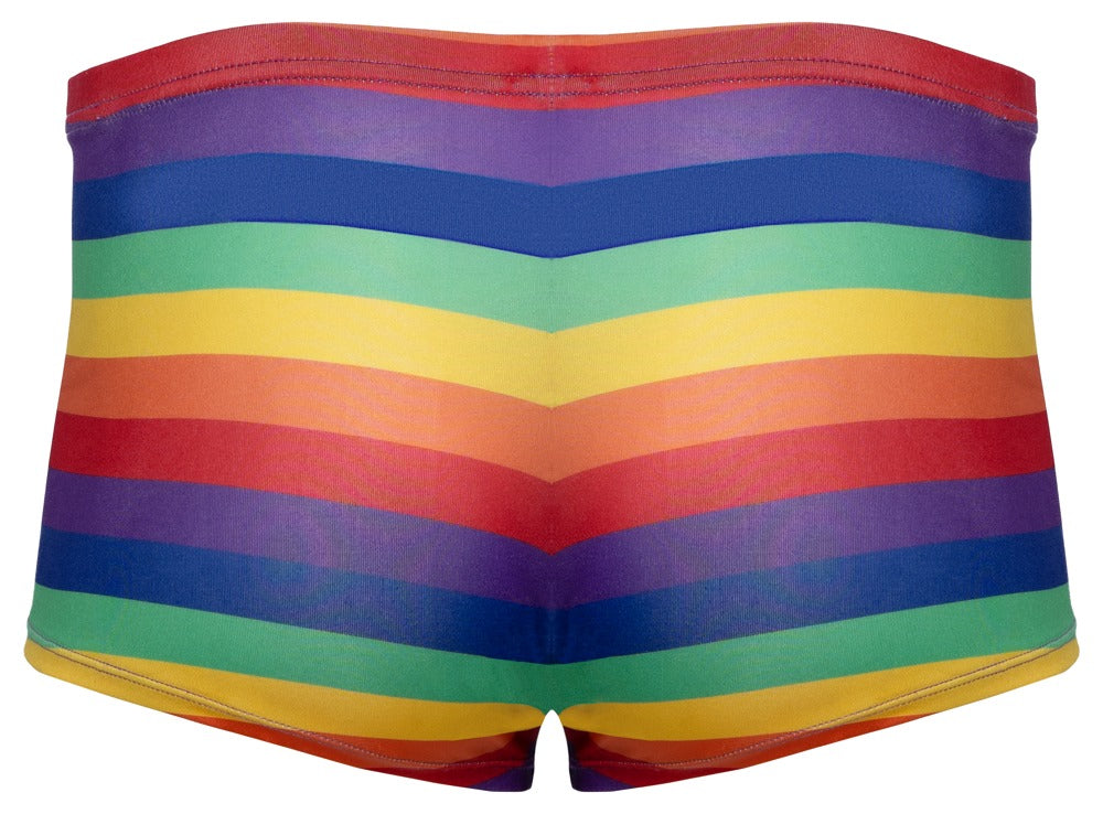 Svenjoyment - Herren Pants Rainbow