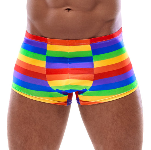 Svenjoyment - Herren Pants Rainbow