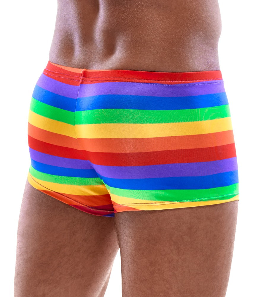 Svenjoyment - Herren Pants Rainbow