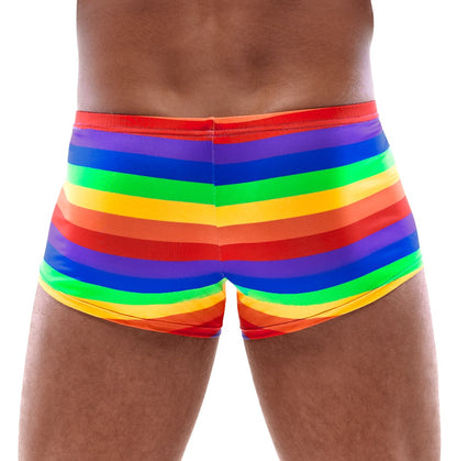 Svenjoyment - Herren Pants Rainbow