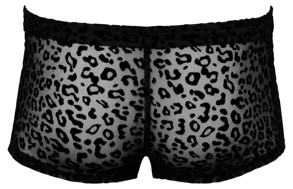 Noir - Noir H.Pants leo