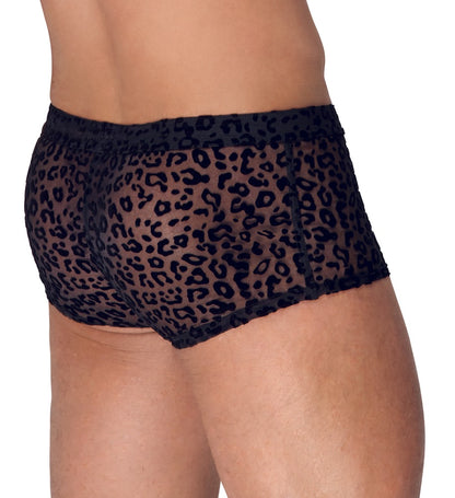 Noir - Noir H.Pants leo