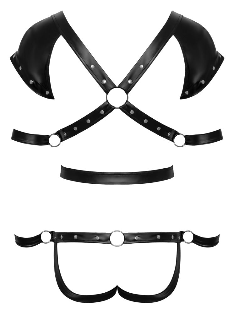 Svenjoyment - Herren Harnessbody