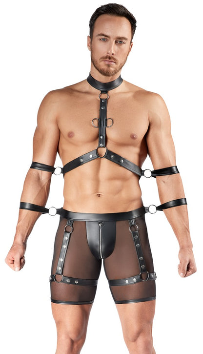 Svenjoyment - Herren Harness und Pants