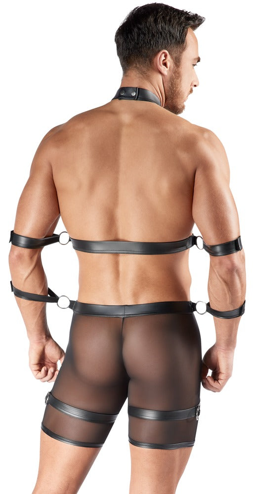 Svenjoyment - Herren Harness und Pants