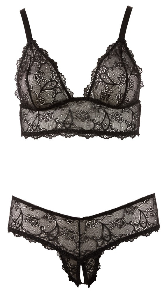 Cottelli - Soft-BH und Rio-String