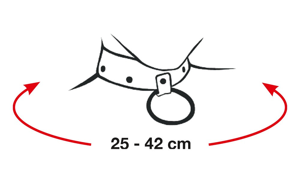 Bad Kitty - BDSM Halsband mit Strassfront