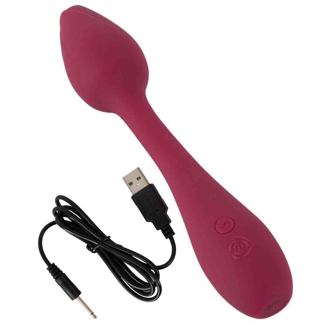 Wiederaufladbarer Vibrator