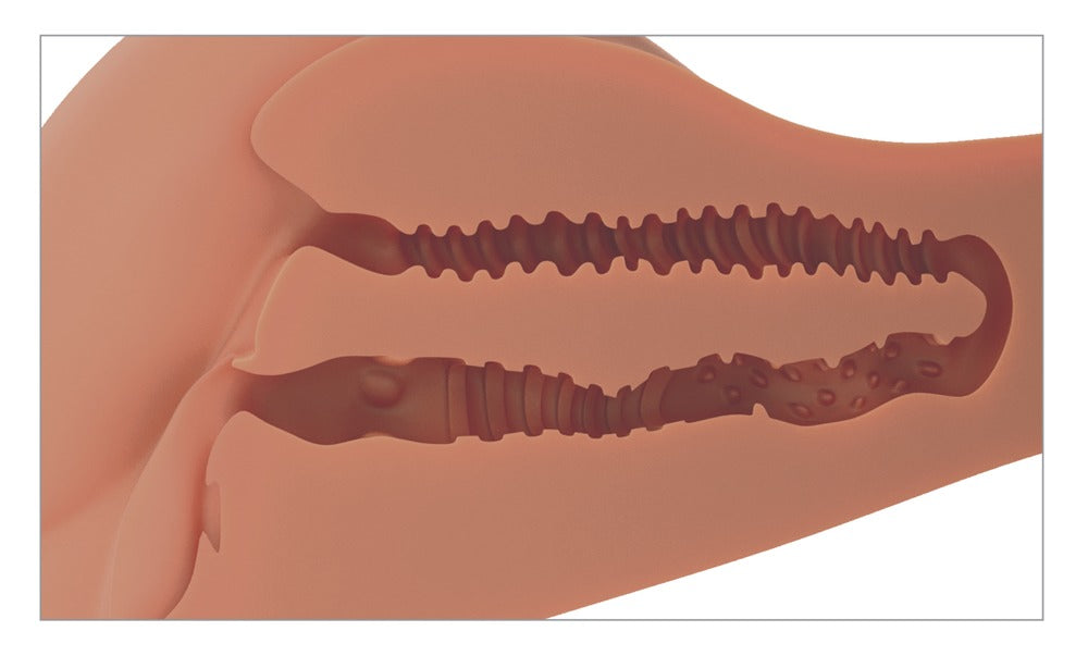 PDX - 360° Torso - Masturbator