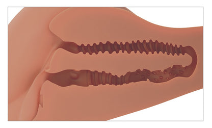 PDX - 360° Torso - Masturbator
