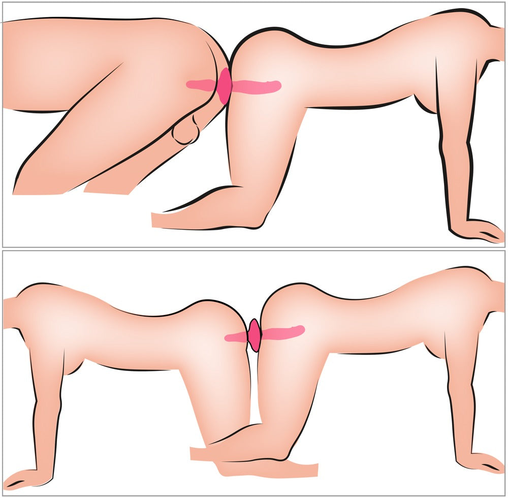 Beidseitig verwendbarer Doppelvibrator