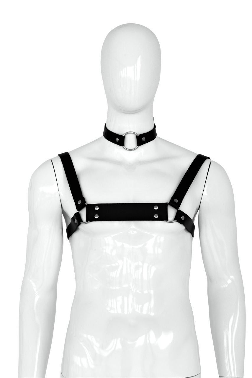 XX-DREAMSTOYS - Männer Harness