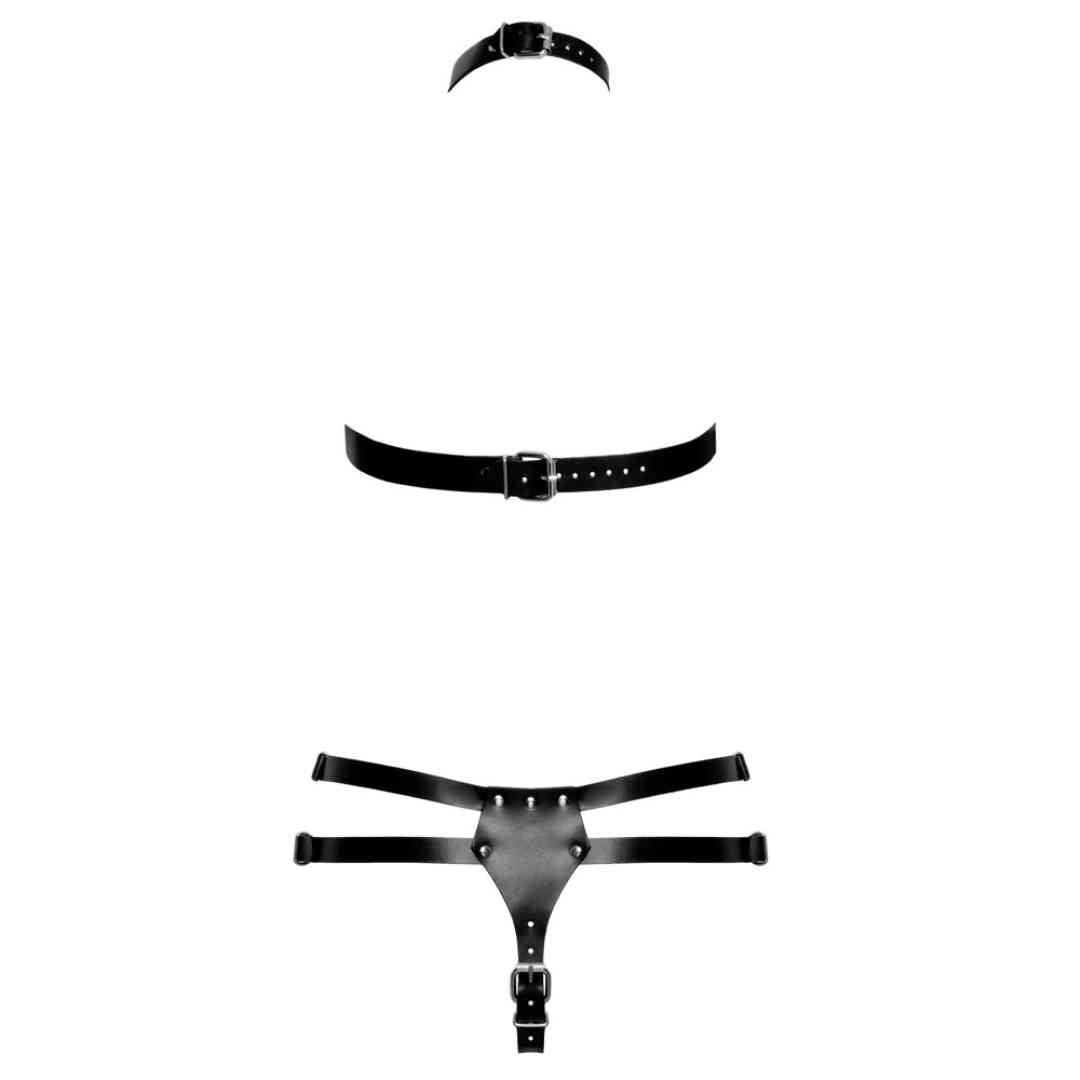 Harness-Set