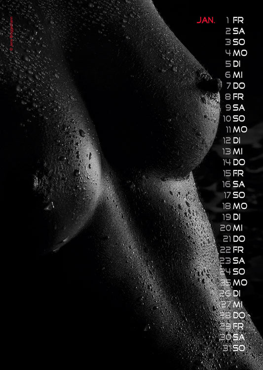 Sonstige - Hot Stuff Kalender 2027 Din A4