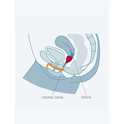 Menstruationstasse von Fun Factory