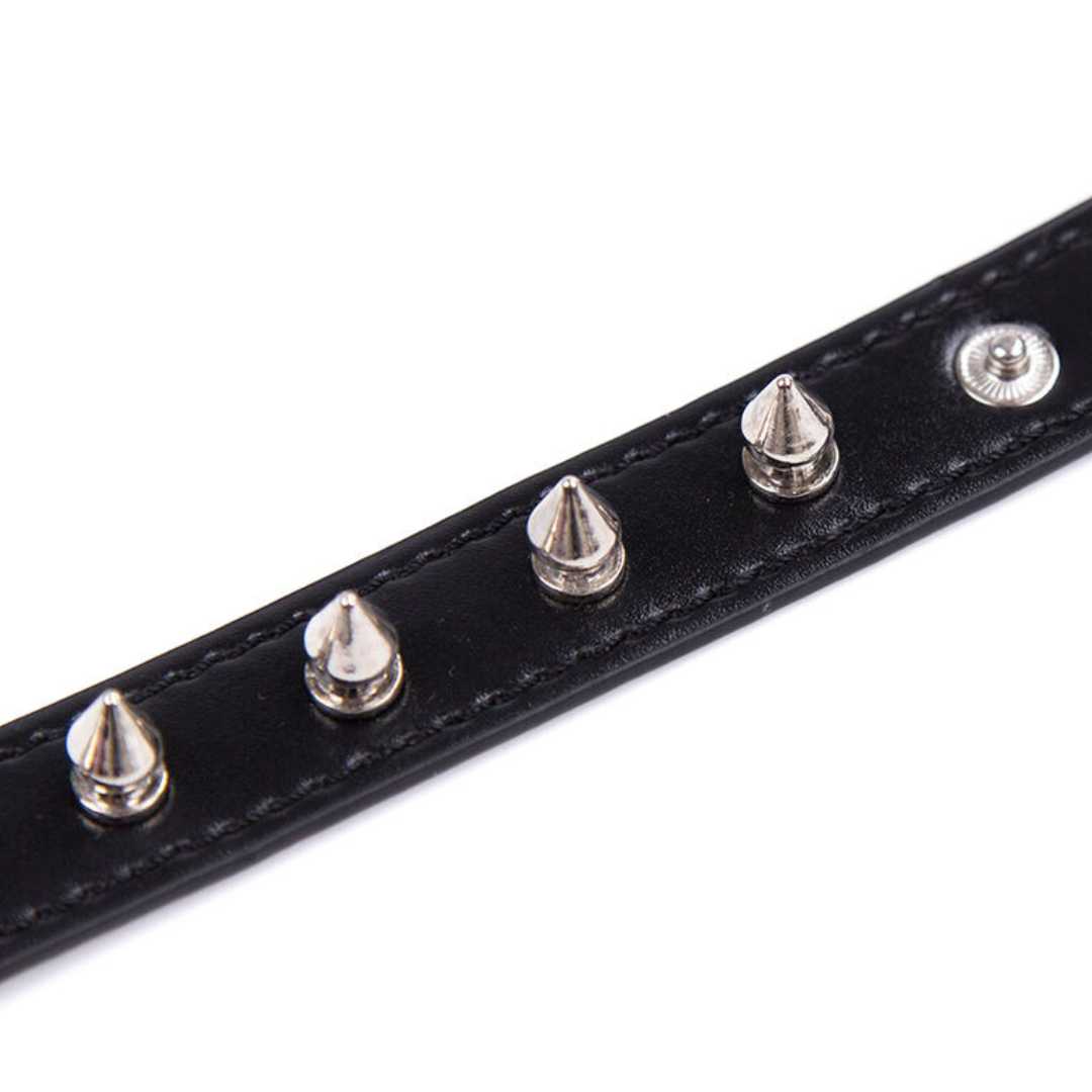 Spikes Punk-Halsband