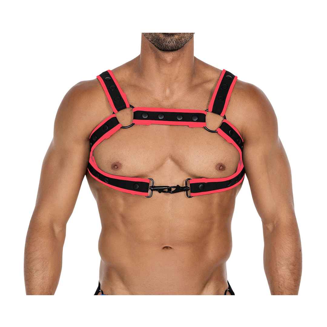 Harness "Neo"