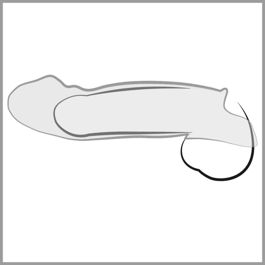 Penissleeve: Penis Sleeve with extension and ball ring