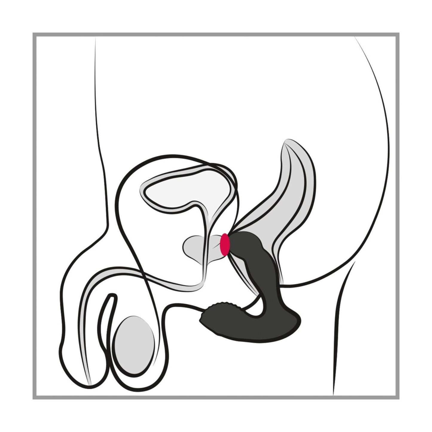 Prostatavibrator „RC Prostate Massager“ - OH MY! FANTASY