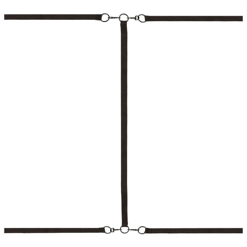 Calexotics - Bett-Fessel-Set
