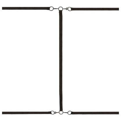 Calexotics - Bett-Fessel-Set