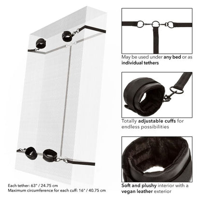 Calexotics - Bett-Fessel-Set