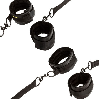 Calexotics - Bett-Fessel-Set