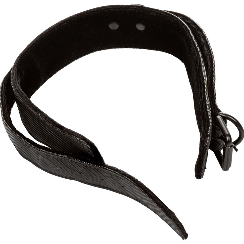 Calexotics - Halsband mit abnehmbarer Leine