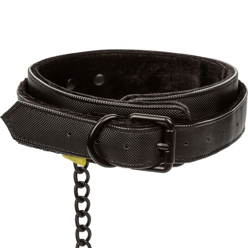 Calexotics - Halsband mit abnehmbarer Leine
