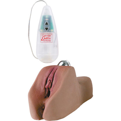 Calexotics - Vagina und Anus Masturbator